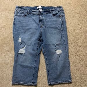 Lane Bryant Curvy Fit Pedal Pant